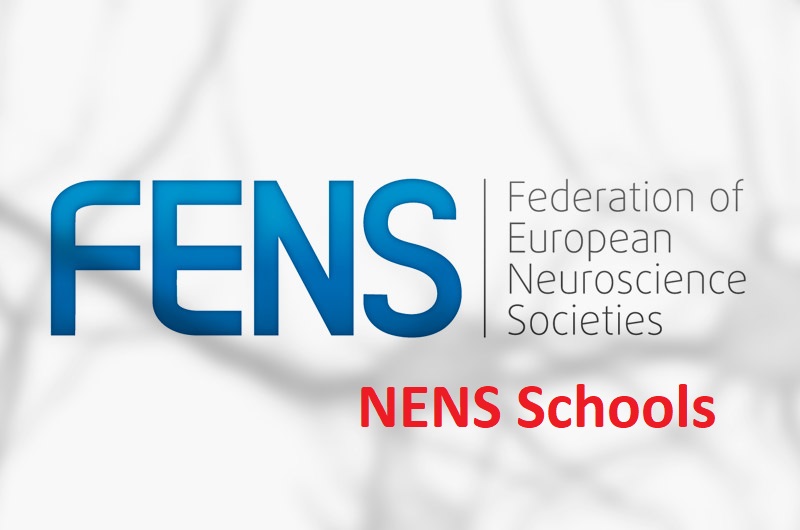 FENS and IBRO-PERC Support for Graduate Courses in 2019