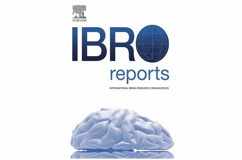 IBRO Reports. Call for papers: Special issueEmotion and mood disorders.