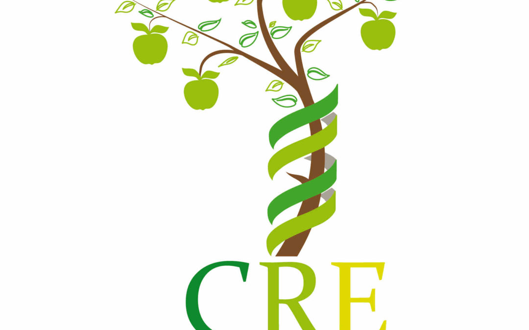 #IRICIE de CRE: el primer informe sobre retorno e incorporación de científicos.