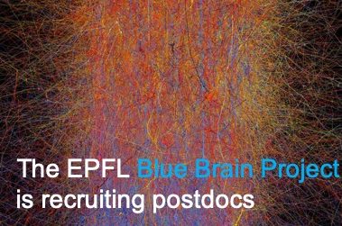 Post-doctoral Position at the Blue Brain Project (EPFL)