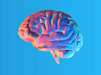 STOA Workshop ‘International Brain Initiative: Shaping the future of globally coordinated neuroscience’