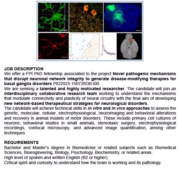 Predoctoral researcher position (FPI) in the University of Barcelona